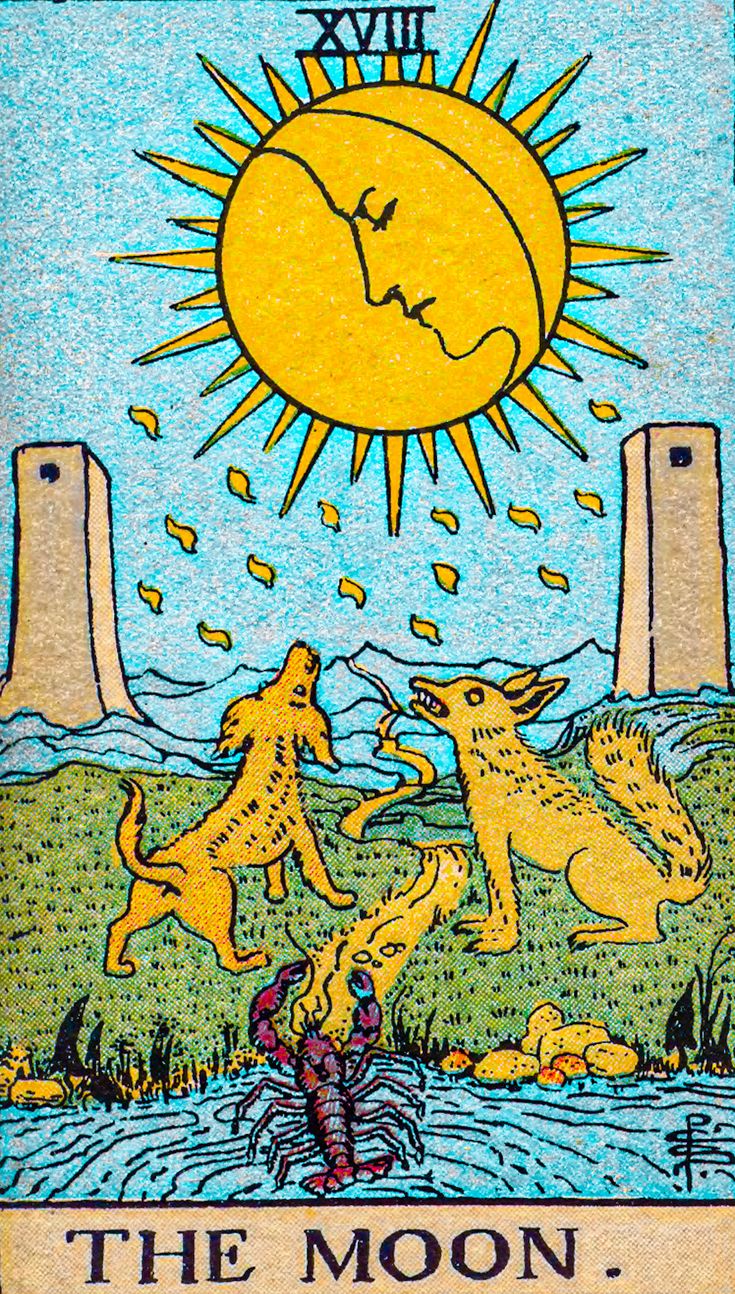 Tarot Card